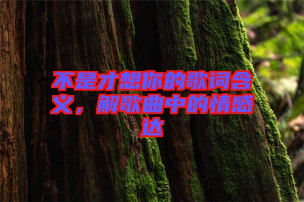 不是才想你的歌詞含義，解歌曲中的情感達(dá)