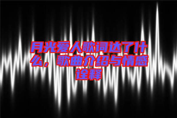 月光愛人歌詞達(dá)了什么，歌曲介紹與情感詮釋