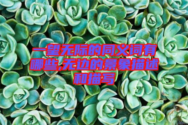 一望無(wú)際的同義詞有哪些,無(wú)邊的景象描述和描寫