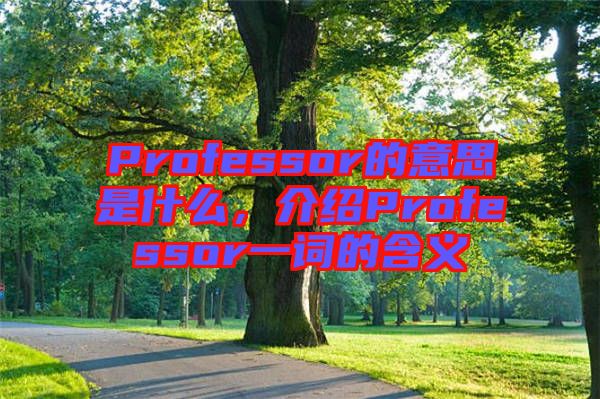 Professor的意思是什么，介紹Professor一詞的含義