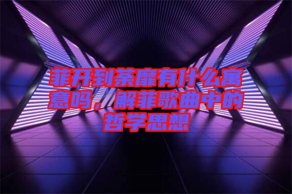 菲開到荼靡有什么寓意嗎，解菲歌曲中的哲學(xué)思想