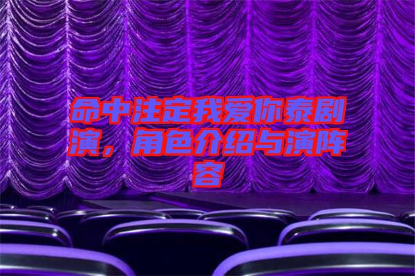 命中注定我愛你泰劇演，角色介紹與演陣容