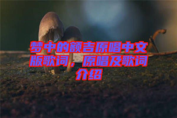 夢(mèng)中的額吉原唱中文版歌詞，原唱及歌詞介紹