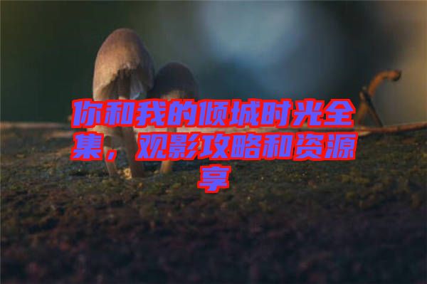 你和我的傾城時(shí)光全集，觀影攻略和資源享