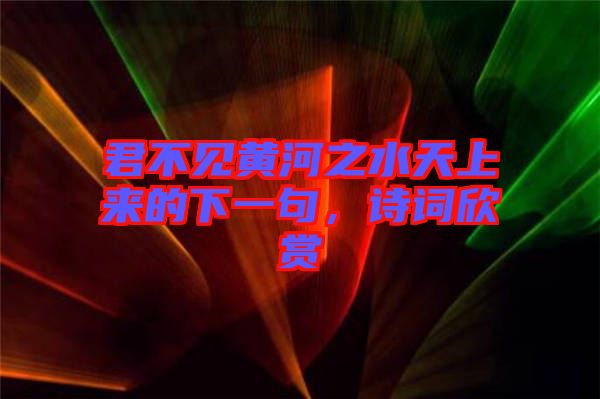 君不見(jiàn)黃河之水天上來(lái)的下一句，詩(shī)詞欣賞