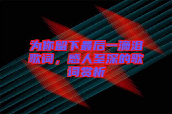 為你留下最后一滴淚歌詞，感人至深的歌詞賞析