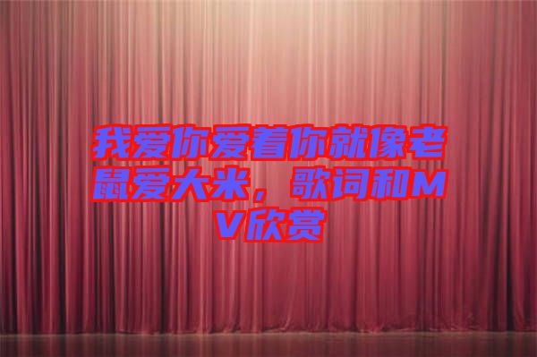 我愛你愛著你就像老鼠愛大米，歌詞和MV欣賞