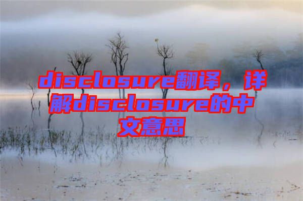 disclosure翻譯，詳解disclosure的中文意思