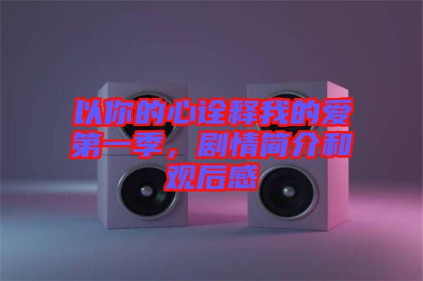 以你的心詮釋我的愛第一季，劇情簡介和觀后感