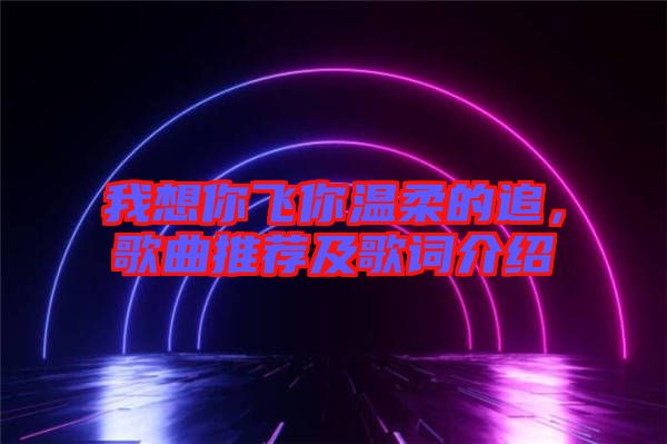 我想你飛你溫柔的追，歌曲推薦及歌詞介紹