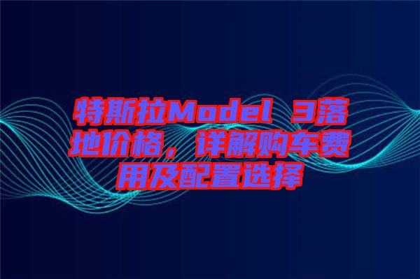 特斯拉Model 3落地價格，詳解購車費(fèi)用及配置選擇