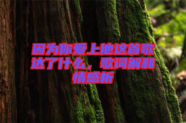 因?yàn)槟銗凵纤@首歌達(dá)了什么，歌詞解和情感析