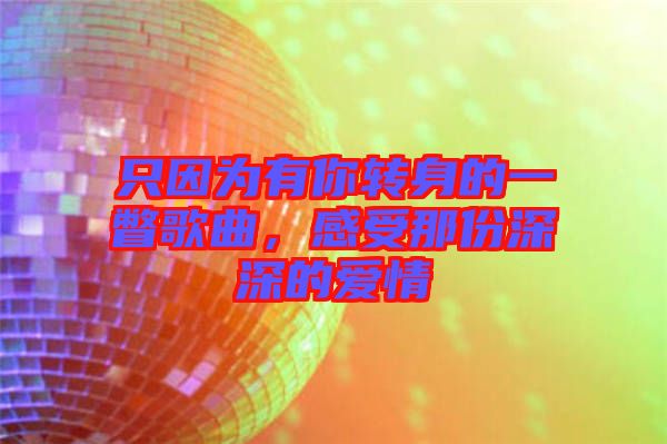 只因?yàn)橛心戕D(zhuǎn)身的一瞥歌曲，感受那份深深的愛(ài)情