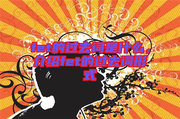 fet的過去詞是什么，介紹fet的過去詞形式