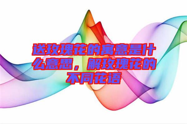 送玫瑰花的寓意是什么意思，解玫瑰花的不同花語