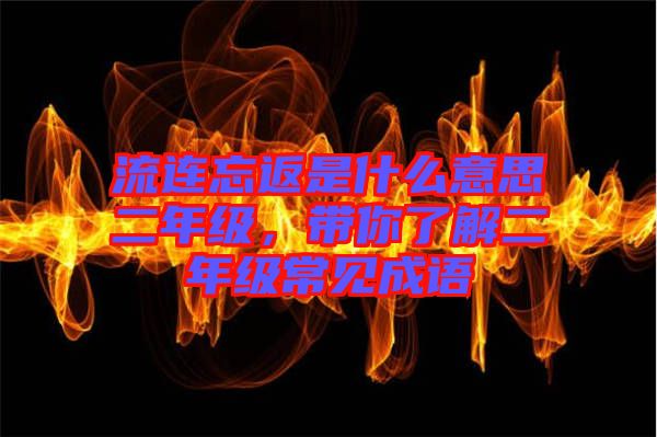 流連忘返是什么意思二年級，帶你了解二年級常見成語