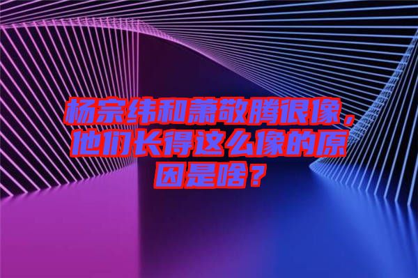 楊宗緯和蕭敬騰很像，他們長得這么像的原因是啥？