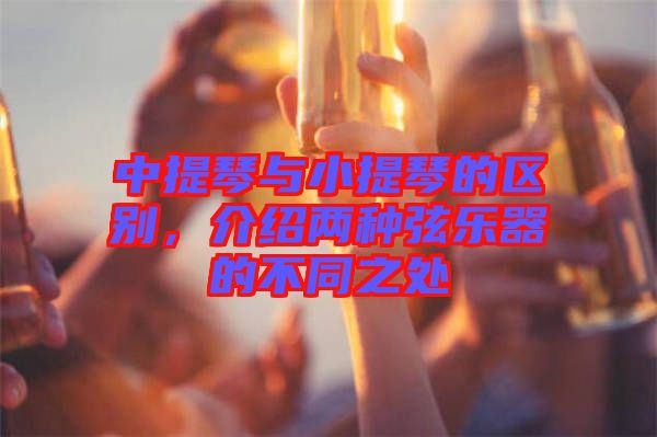 中提琴與小提琴的區(qū)別，介紹兩種弦樂器的不同之處