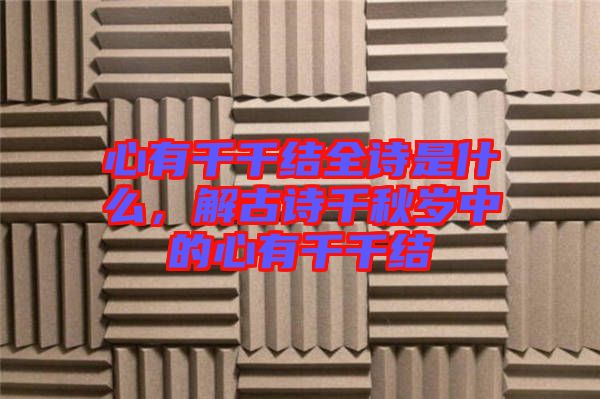 心有千千結(jié)全詩(shī)是什么，解古詩(shī)千秋歲中的心有千千結(jié)