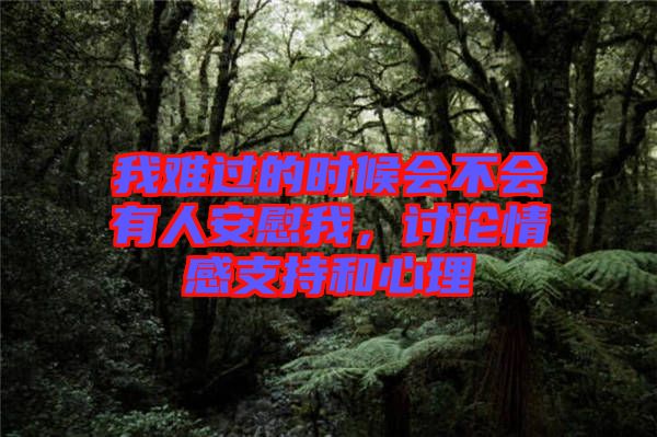 我難過(guò)的時(shí)候會(huì)不會(huì)有人安慰我，討論情感支持和心理