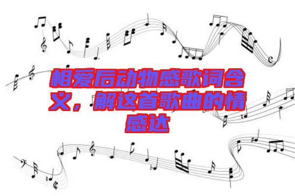 相愛(ài)后動(dòng)物感歌詞含義，解這首歌曲的情感達(dá)