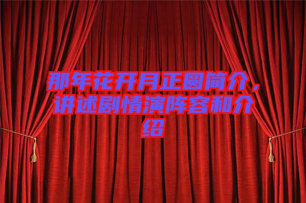 那年花開月正圓簡介，講述劇情演陣容和介紹