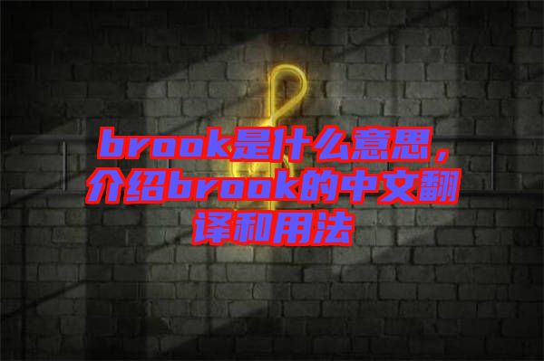 brook是什么意思，介紹brook的中文翻譯和用法