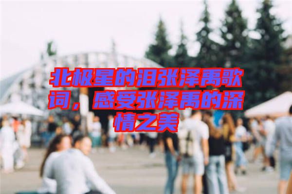 北極星的淚張澤禹歌詞，感受張澤禹的深情之美