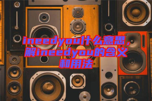 ineedyou什么意思，解ineedyou的含義和用法