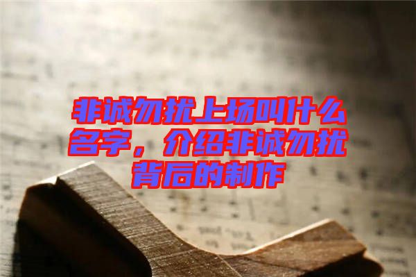 非誠勿擾上場叫什么名字，介紹非誠勿擾背后的制作