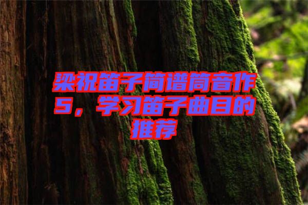 梁祝笛子簡譜筒音作5，學(xué)習(xí)笛子曲目的推薦