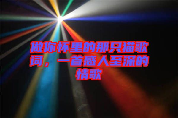 做你懷里的那只貓歌詞，一首感人至深的情歌