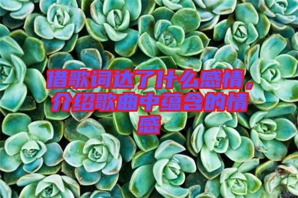 借歌詞達(dá)了什么感情，介紹歌曲中蘊(yùn)含的情感