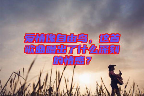 愛情像自由鳥，這首歌曲唱出了什么深刻的情感？