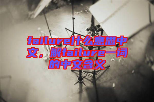 failure什么意思中文，解failure一詞的中文含義