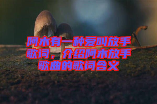 阿木有一種愛叫放手歌詞，介紹阿木放手歌曲的歌詞含義