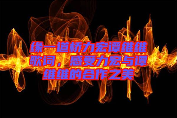 緣一道橋力宏譚維維歌詞，感受力宏與譚維維的合作之美