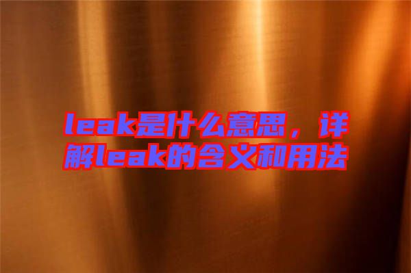 leak是什么意思，詳解leak的含義和用法