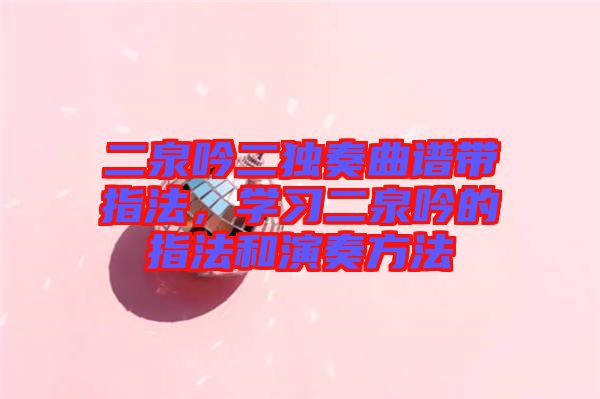 二泉吟二獨(dú)奏曲譜帶指法，學(xué)習(xí)二泉吟的指法和演奏方法