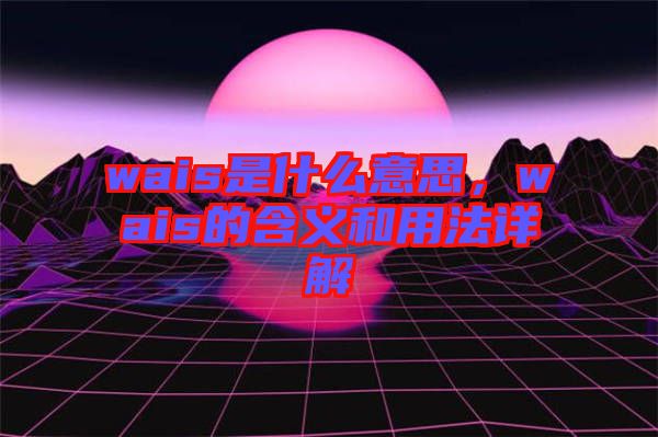 wais是什么意思，wais的含義和用法詳解