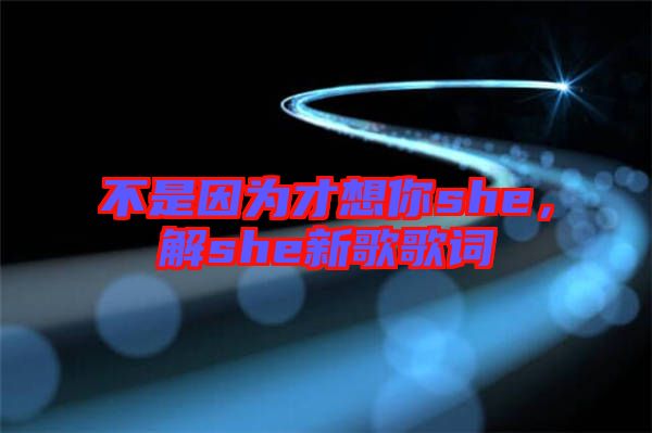 不是因?yàn)椴畔肽鉺he，解she新歌歌詞