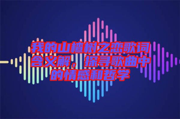 我的山楂樹(shù)之戀歌詞含義解，探尋歌曲中的情感和哲學(xué)