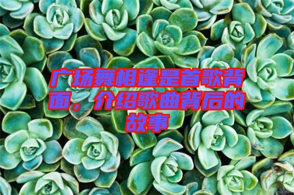 廣場舞相逢是首歌背面，介紹歌曲背后的故事