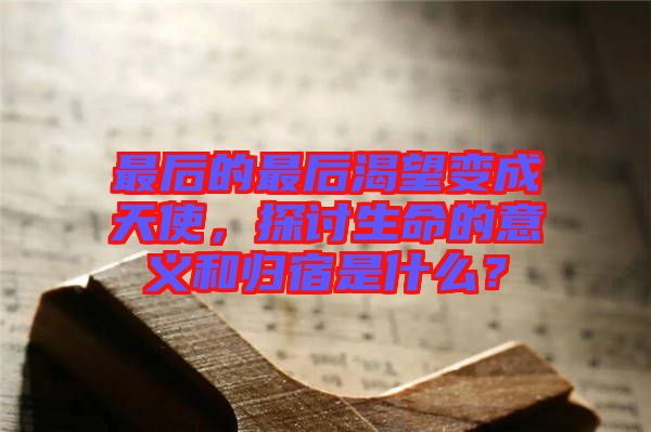 最后的最后渴望變成天使，探討生命的意義和歸宿是什么？