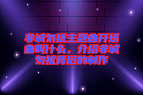 非誠(chéng)勿擾主題曲開場(chǎng)曲叫什么，介紹非誠(chéng)勿擾背后的制作