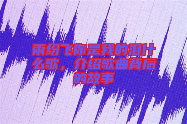 雨紛飛你是我的淚什么歌，介紹歌曲背后的故事