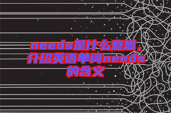 needs是什么意思，介紹英語單詞needs的含義