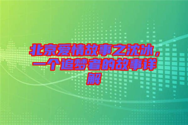 北京愛情故事之沈冰，一個追夢者的故事詳解