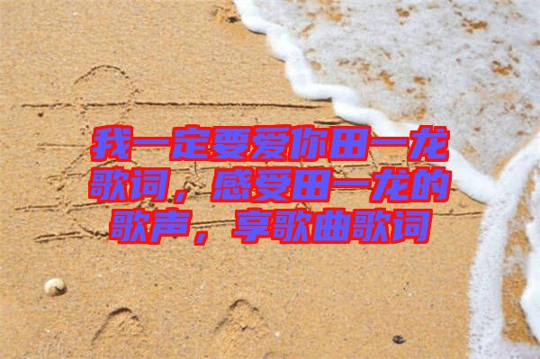 我一定要愛你田一龍歌詞，感受田一龍的歌聲，享歌曲歌詞