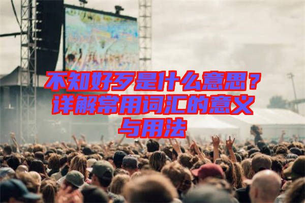 不知好歹是什么意思？詳解常用詞匯的意義與用法